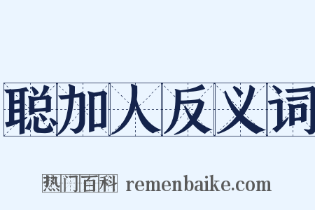 聪加人反义词是什么意思的图片